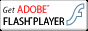ADOBE FLASH PLAYER �_�E�����[�h